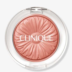 NEVER BEEN SWATCHED Clinique Cheek Pop in Melon Pop